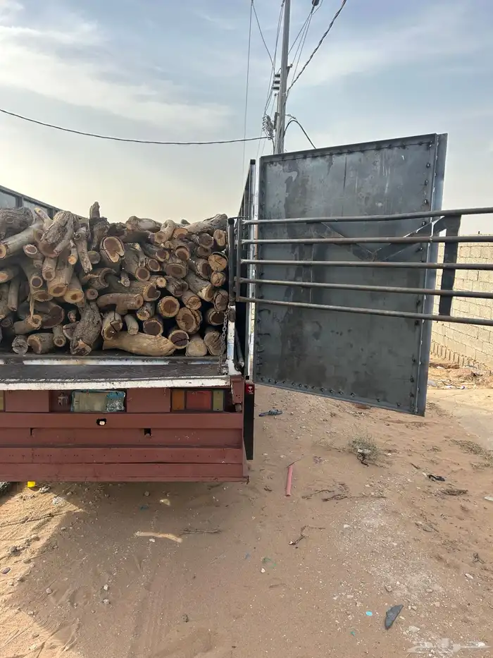 ح ط ب المدينه 6