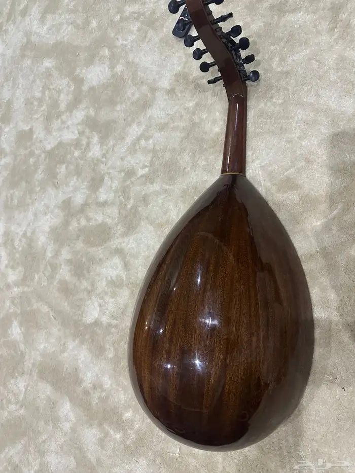 عود محمود داغر 1