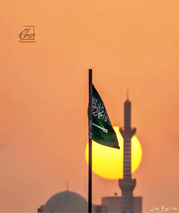 مهندس سعودي محترف 0