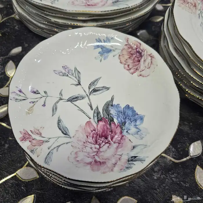 LA MESA DINNER PLATES 24 PIECE 5