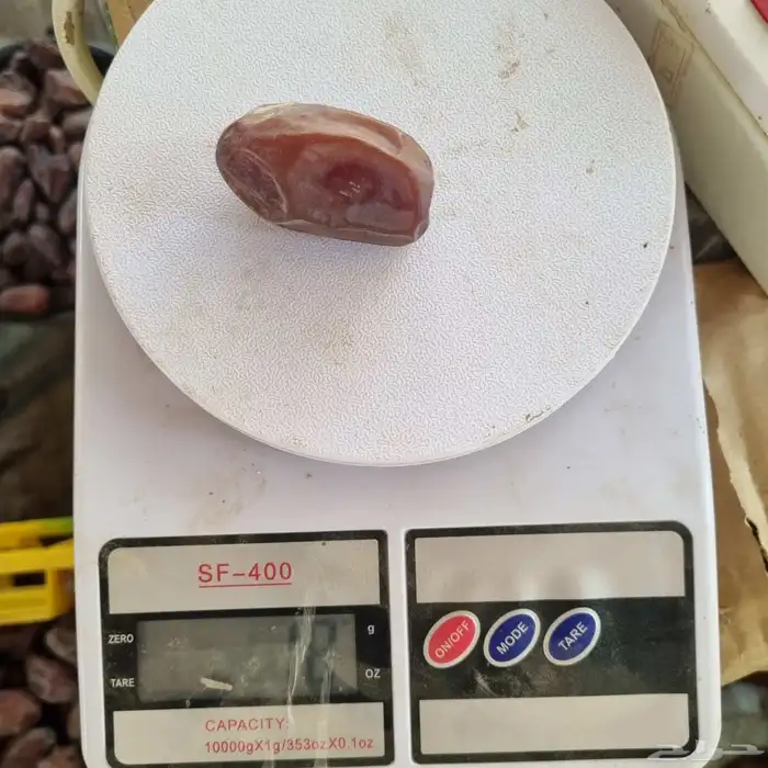 خضري حبه طيبه 6