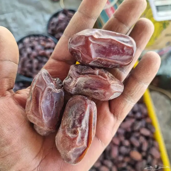 خضري حبه طيبه 0