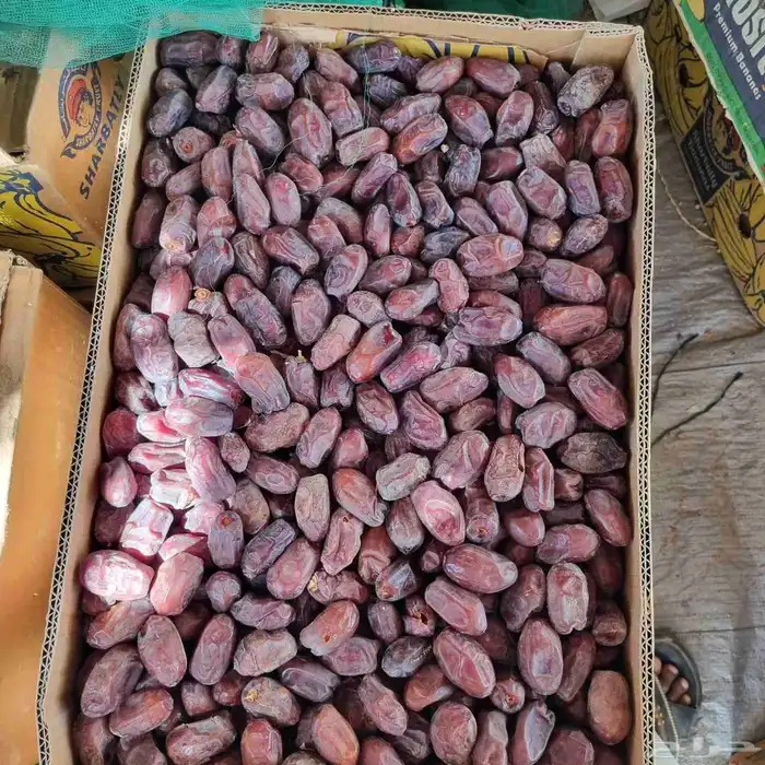 خضري حبه طيبه 3