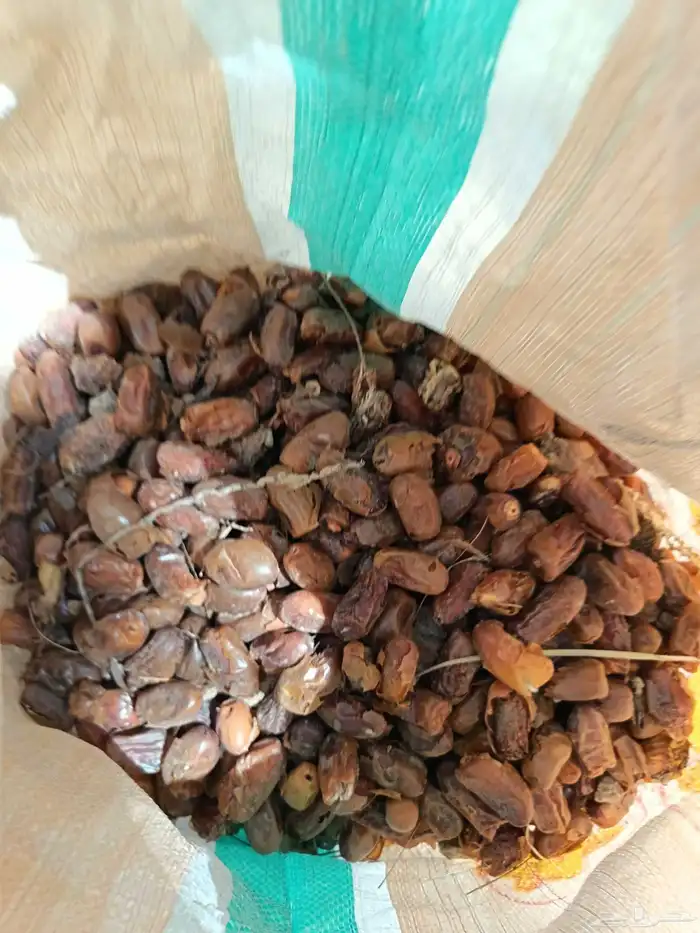 تمر غنم للبيع 3