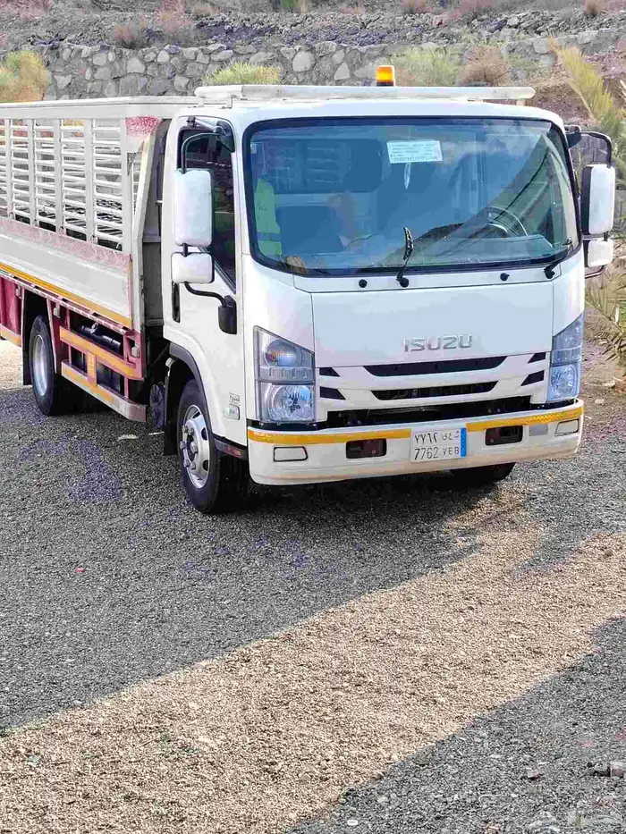 دينا شبك لنقل المشاوير 0