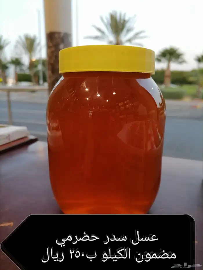 زيت مقري وعسل بأنواعه وزمزم وعودة 0