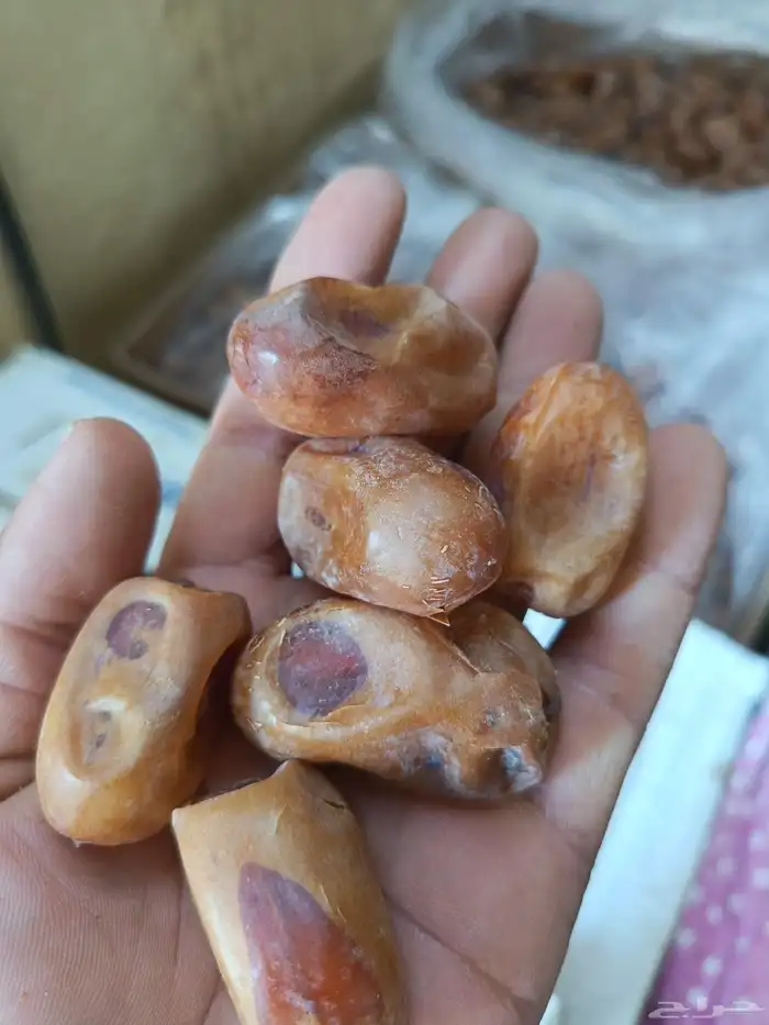 تمر خلاص للبيع 5