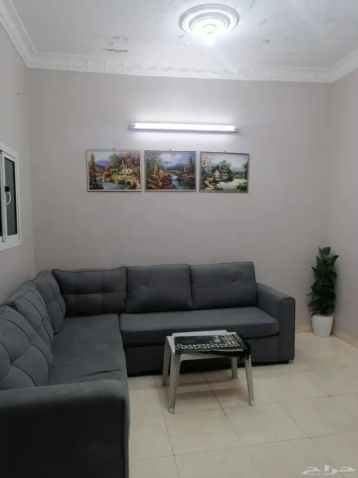 شقق مفروشه كبيره وصغيره جيزان حي الشاطي قرب الجامعه والبحر 0