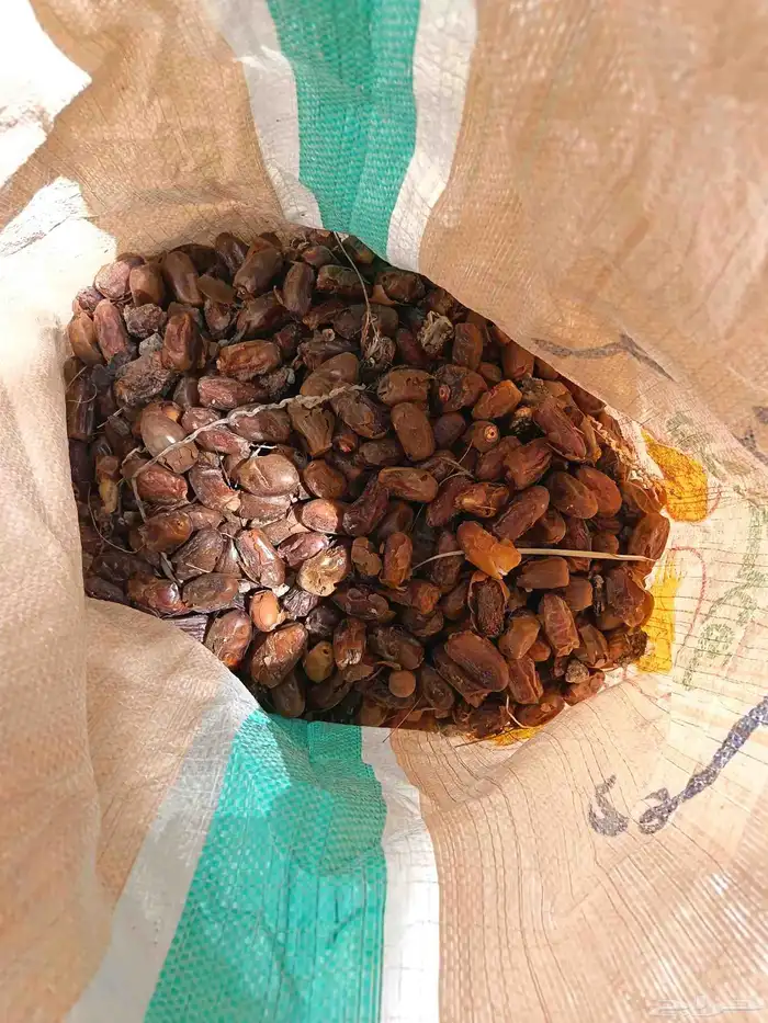 تمر غنم للبيع 1