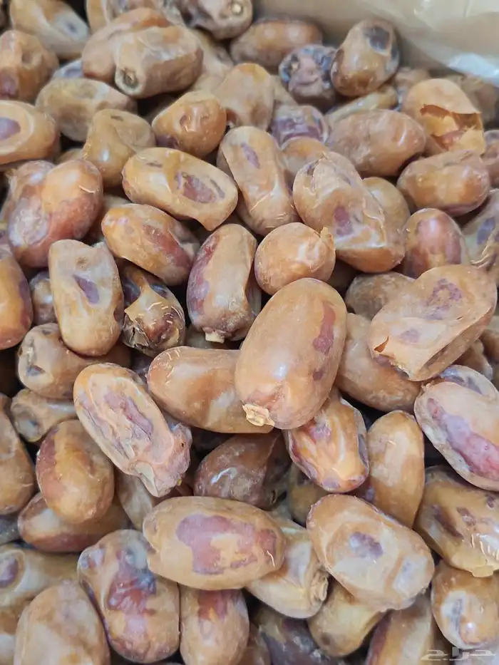 تمر خلاص للبيع 1