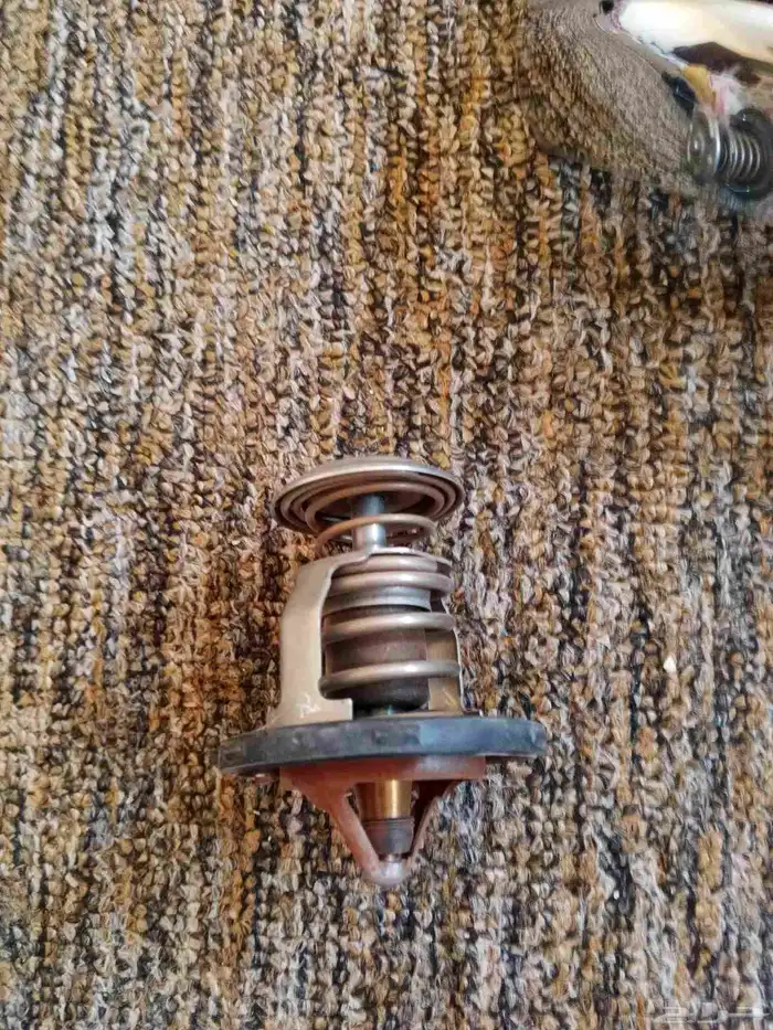 الخرج الاندلس 9