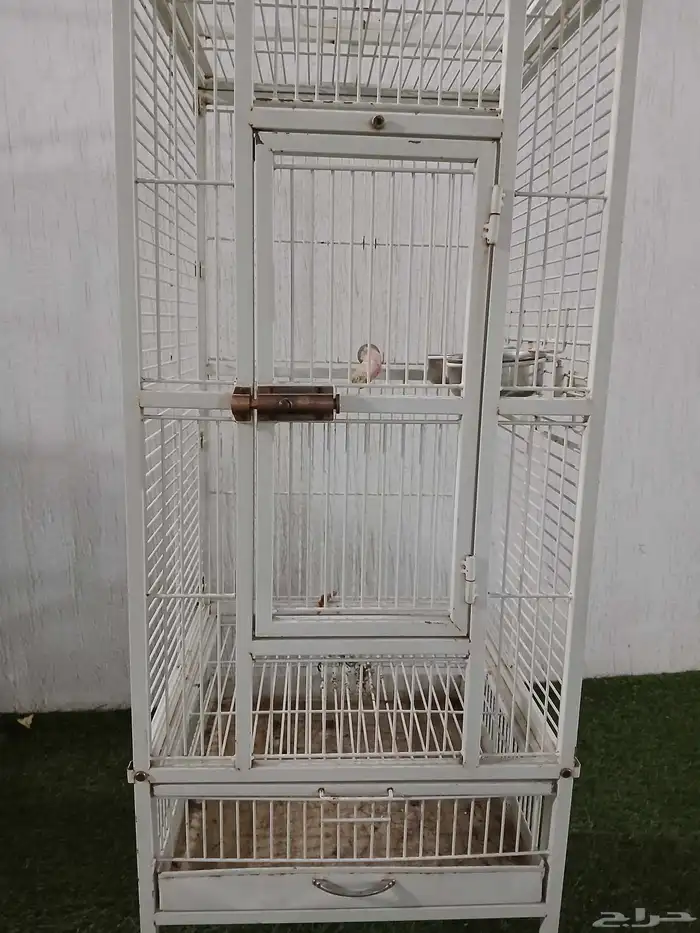 قفص ببغاء كبير 0