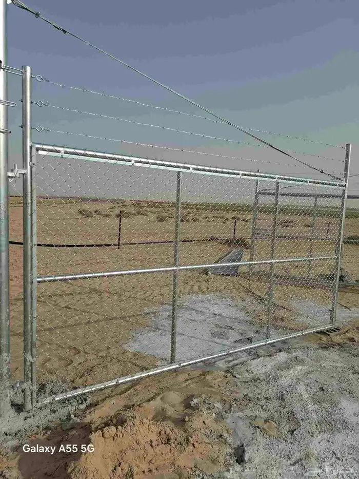 نخل وشبوكات 0