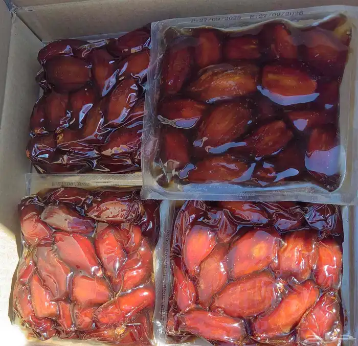 تمر صفري كبار 2