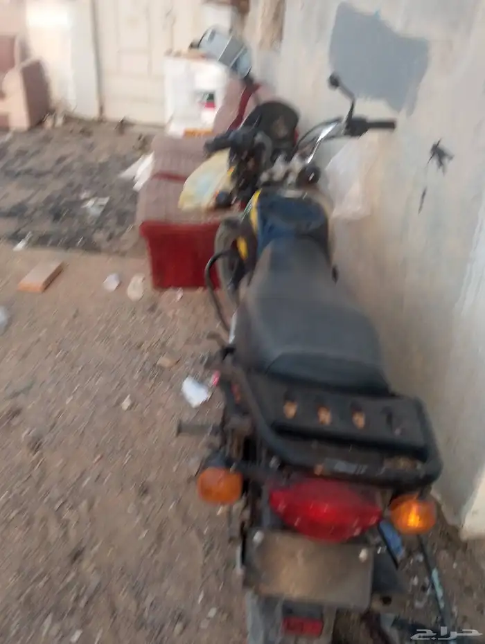 بوكسر هندي بالاوراق 0