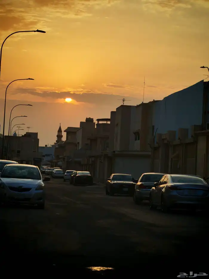 مطلوب انثى هوقو 0