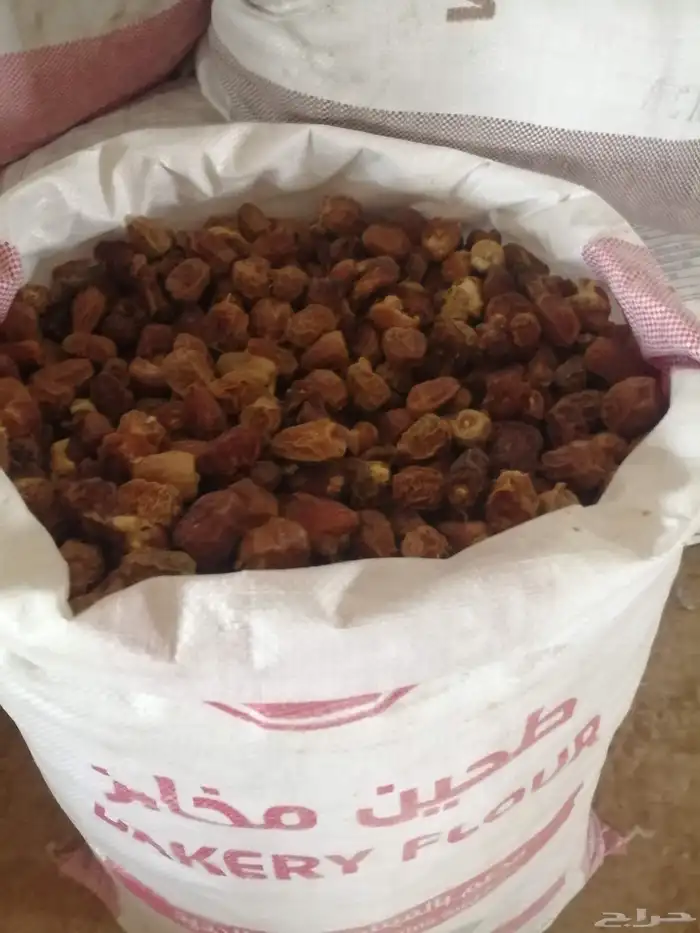 تمر علف للبيع الموقع القصيم 5