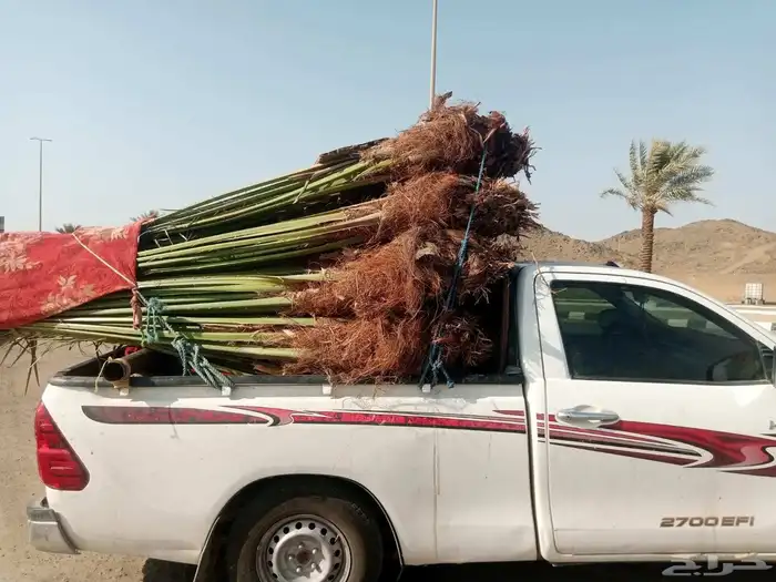 السلام عليكم ورحمه الله وبركاته عندنا نخل طيب متواجد في مكه 1