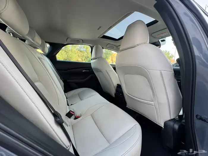 مازدا CX-30 - 2023 سنقتشر 21