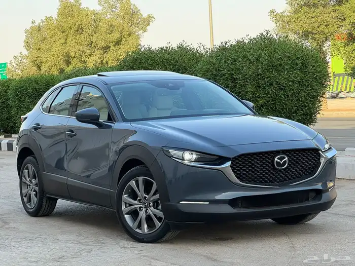 مازدا CX-30 - 2023 سنقتشر 3