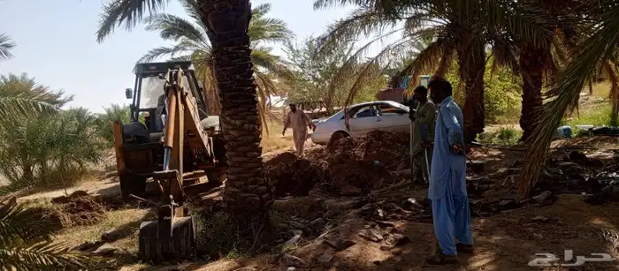 متوفر لدينا نخل للبيع في جده مكه نخل فاخر ومقاسات مختلفه 7