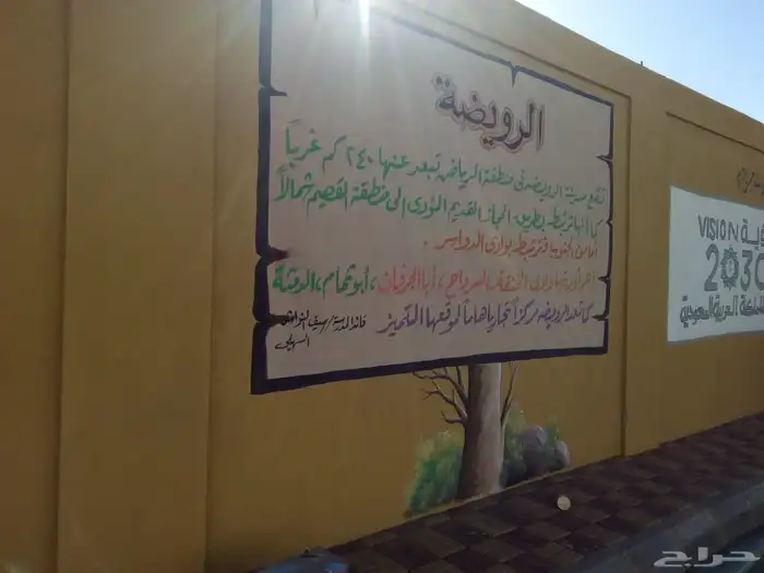 فنان محترف للرسم الجداري خبره 25عام 3