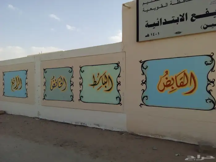 فنان محترف للرسم الجداري خبره 25عام 14