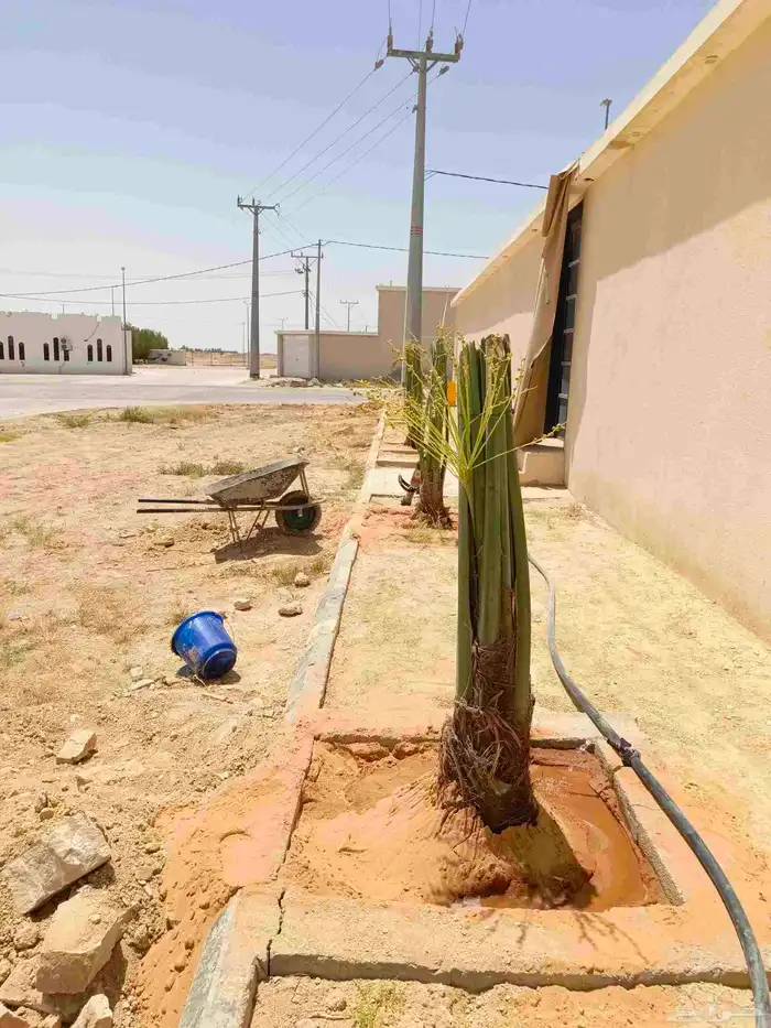 يوجد لدينا جميع انواع انخل 3