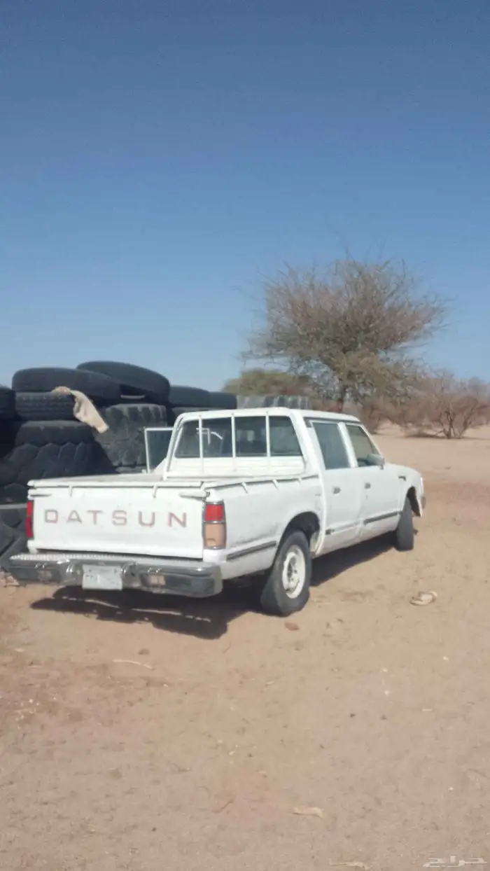 ددسن البيع 2
