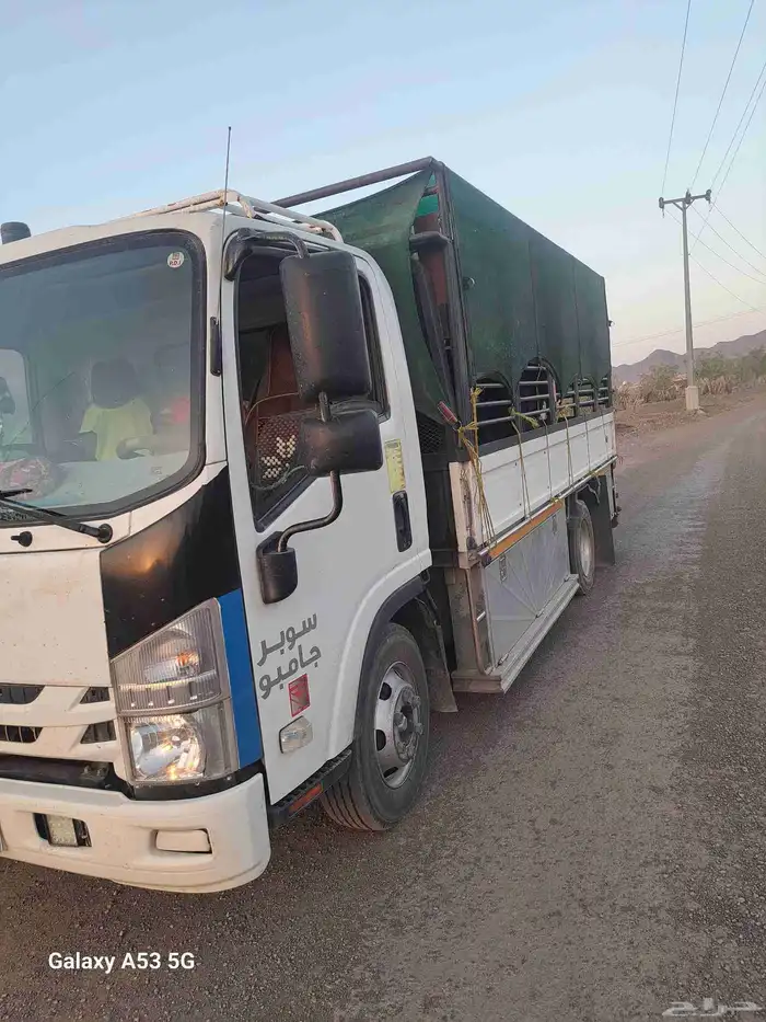 دنا طابقين نقل غنم 2