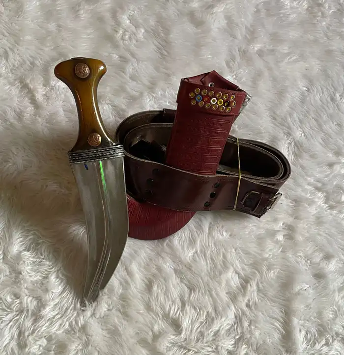 جنبيه مشرقيه شبيه الزراف 1