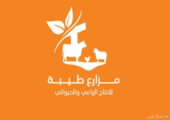 مصمم جرافيك محترف .اطلب تصميمك الان هذه اخر اعمالنا 3