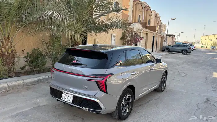 فاو هونشي 2024 للبيع 11