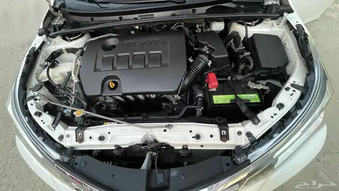 تويوتا كورولا 2018 في قمة النظافة 16