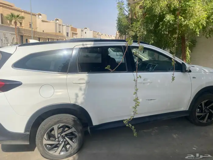راش 2022 0