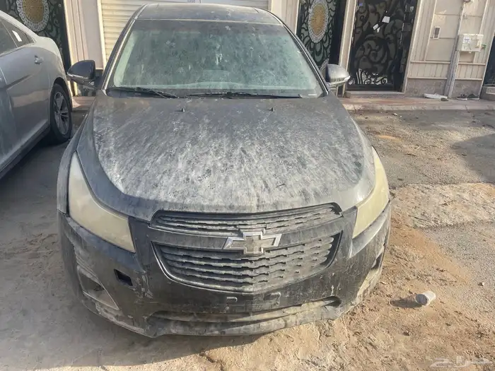 كروز 2015 1
