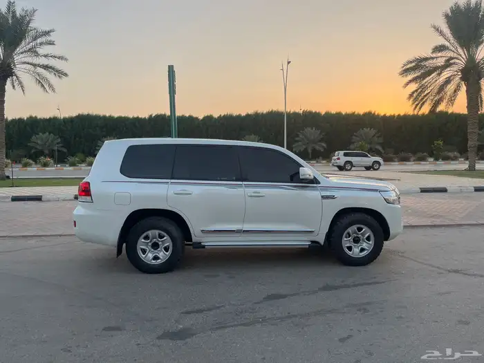 جكسار هدد مديل 2021 ماشي 114 مشروط البدي والمتحركات 2