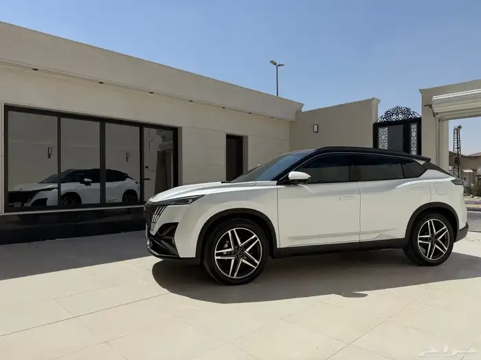دونغ فينغ ميج 2025 1