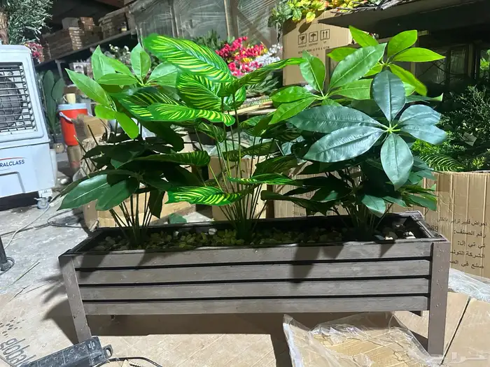 تنسيق الحدائق 9