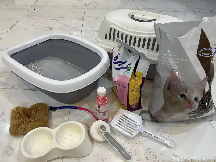 للبيع اغراض قطط كامله باكل ورمل 0