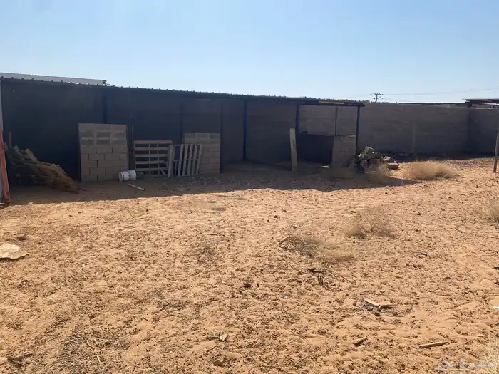 حوش غنم للبيع 6