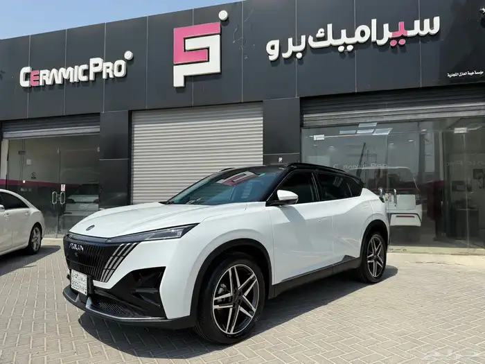 دونغ فينغ ميج 2025 3