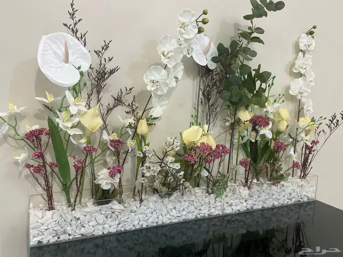 عربية ملكه 3