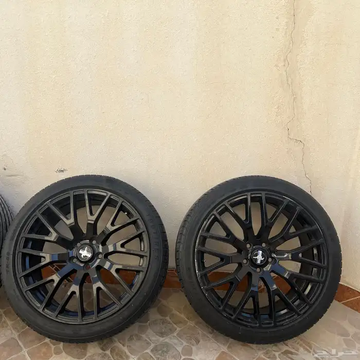 جنوط موستنج 1