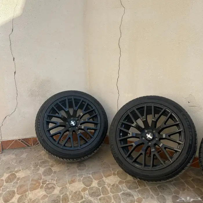 جنوط موستنج 0