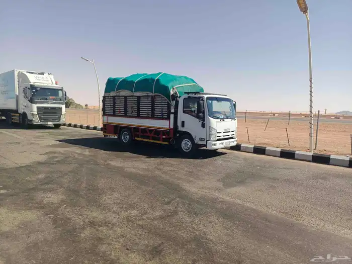 دينا ايجار 4.5ميتر 1