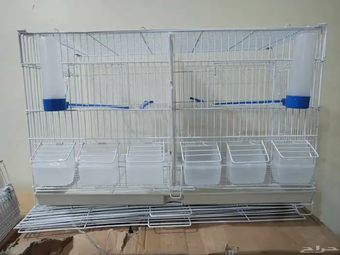 اقفاص ابو فاصل لتوايف وتزواج 0