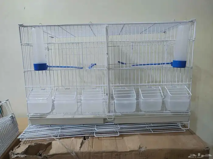 اقفاص ابو فاصل لتوايف وتزواج 1