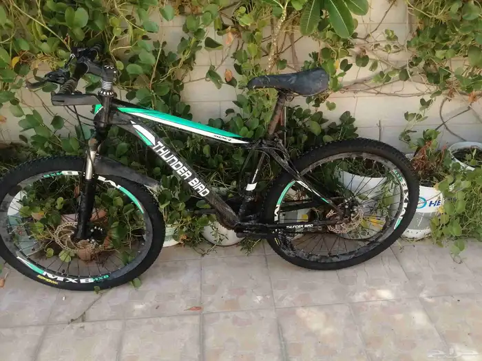 دراجة رياضية بحالة جيدة 5