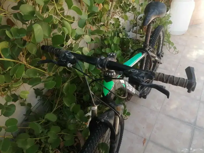 دراجة رياضية بحالة جيدة 3